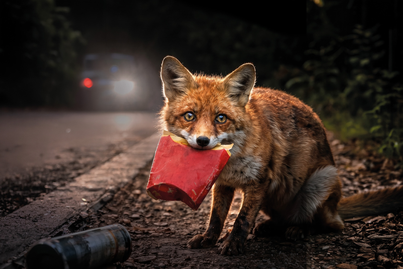FORB Kampagne Tiefbauamt Kanton St.Gallen Sujet
