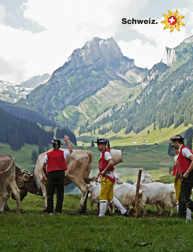 Schweiz Tourismus – Konzept und Idee neuer Willkommensfilm im Skymetro-Tunnel am Flughafen Zürich 

